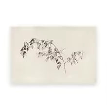 Vintage Summer Landscape Canvas Painting Poster for Home Decor