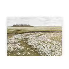 Vintage Summer Landscape Canvas Painting Poster for Home Decor
