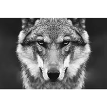 Nordic Wolf Head Wild Animal Canvas Painting Poster for Home Decor