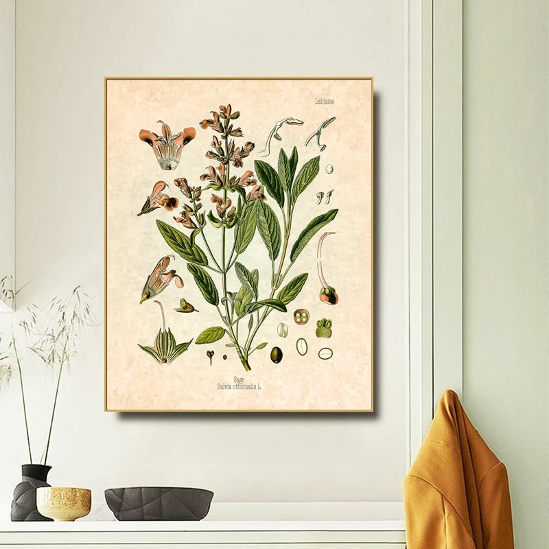 Vintage Herbs Spices Botanical Canvas Painting Poster for Home Decor