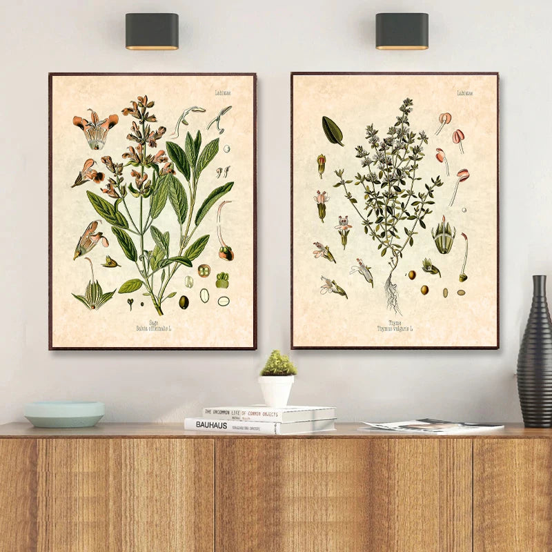 Vintage Herbs Spices Botanical Canvas Painting Poster for Home Decor