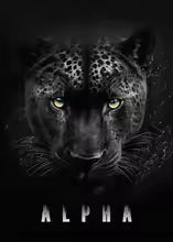 Modern Animal Motivational Canvas Painting Poster for Home Decor