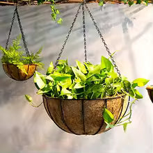 Modern Metal Wire Hanging Planter Basket for Garden Decor