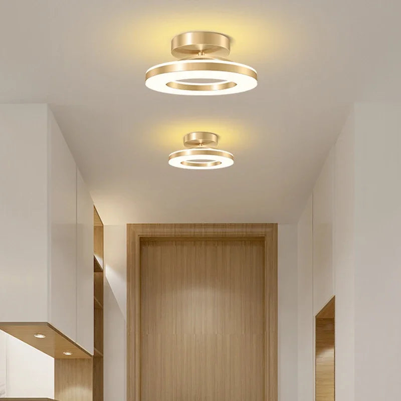 Modern LED Ceiling Light Indoor Lighting Home Decoration Bedroom Dining Table Living Room Balcony Corridor