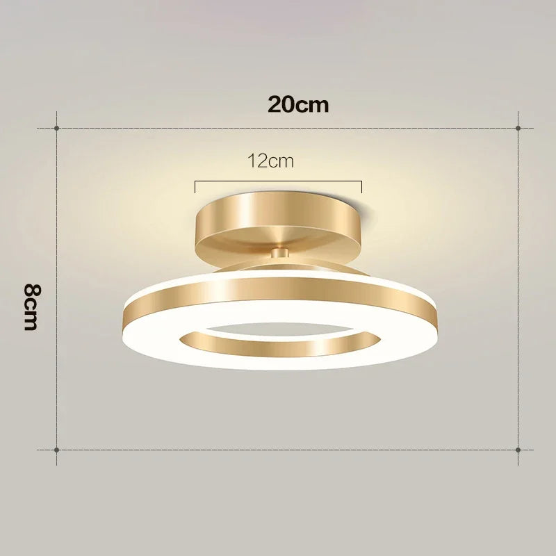 Modern LED Ceiling Light Indoor Lighting Home Decoration Bedroom Dining Table Living Room Balcony Corridor