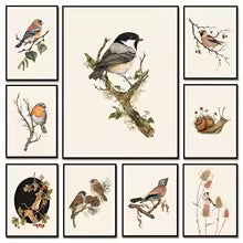 Retro Animal Garden Birds Canvas Painting Poster for Home Decor