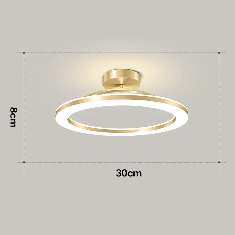 Modern LED Ceiling Light Indoor Lighting Home Decoration Bedroom Dining Table Living Room Balcony Corridor