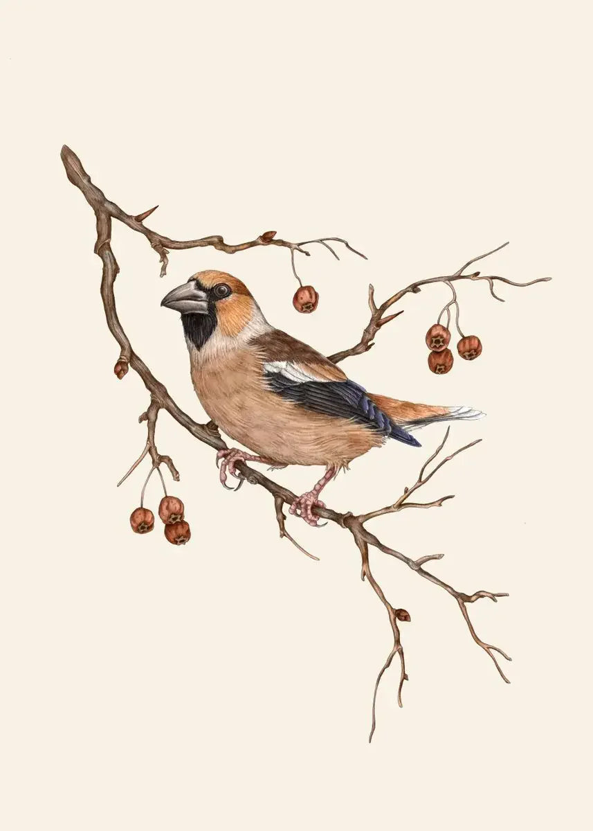 Retro Animal Garden Birds Canvas Painting Poster for Home Decor