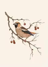 Retro Animal Garden Birds Canvas Painting Poster for Home Decor