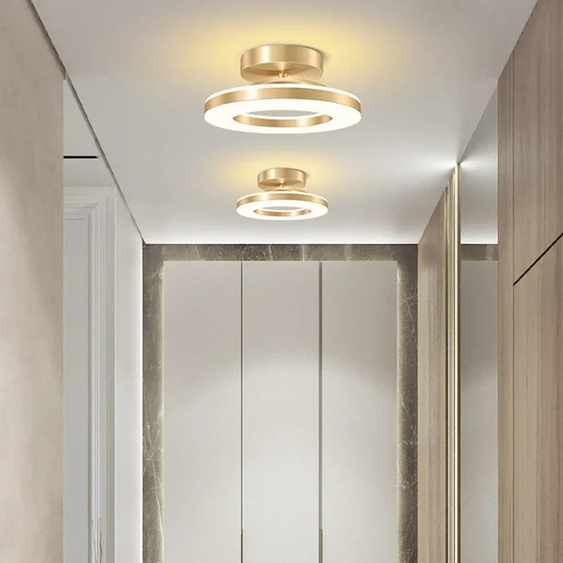 Modern LED Ceiling Light Indoor Lighting Home Decoration Bedroom Dining Table Living Room Balcony Corridor