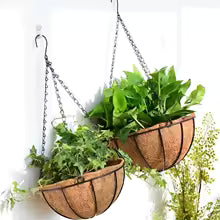 Modern Metal Wire Hanging Planter Basket for Garden Decor