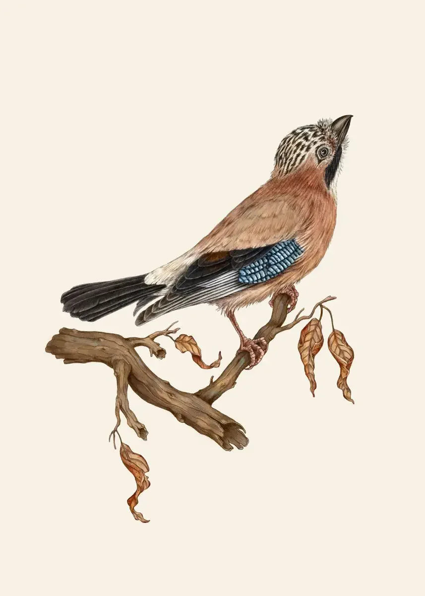 Retro Animal Garden Birds Canvas Painting Poster for Home Decor