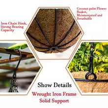 Modern Metal Wire Hanging Planter Basket for Garden Decor