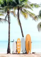 Nordic Summer Beach Surfing Canvas Painting Poster for Home Decor