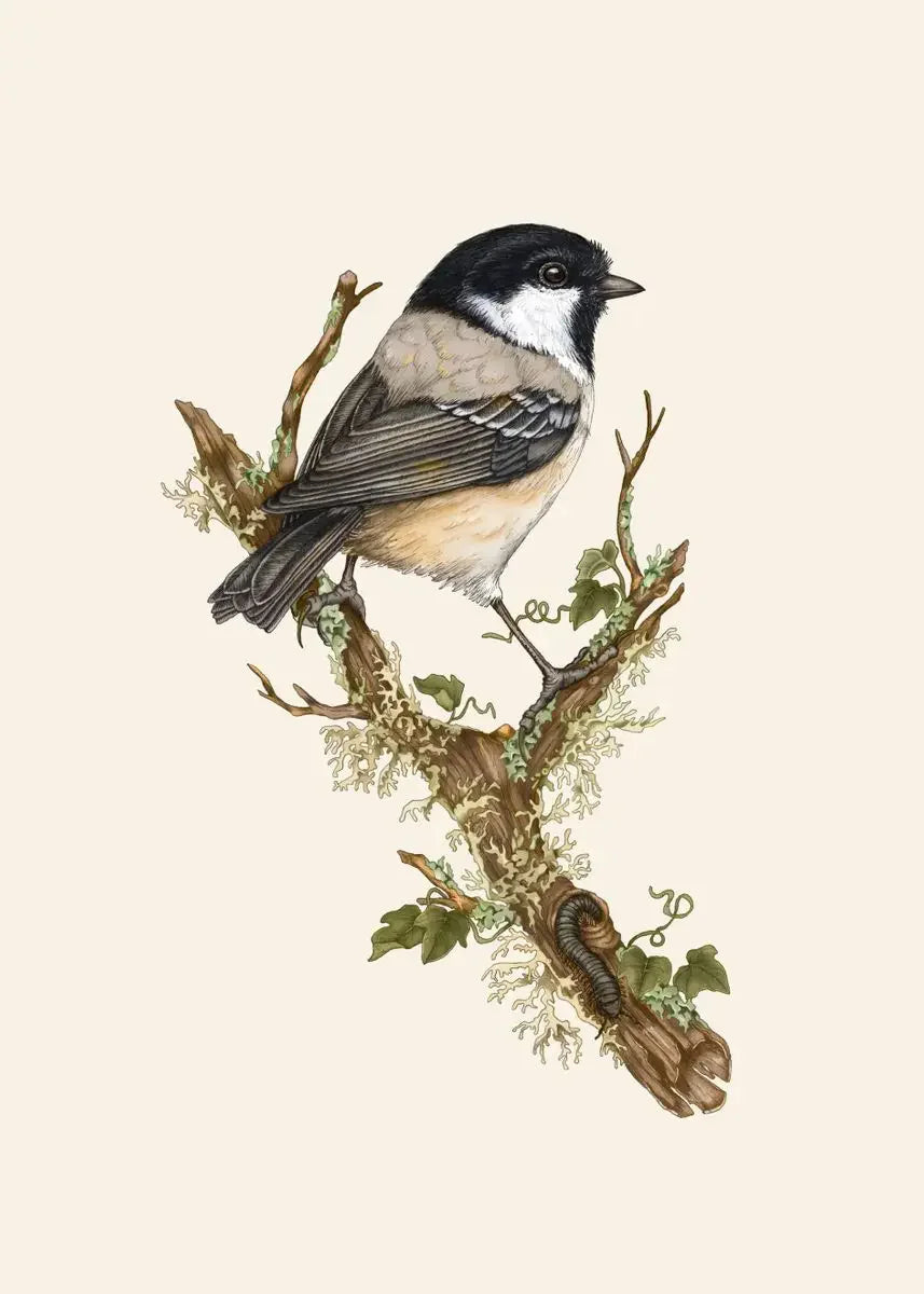 Retro Animal Garden Birds Canvas Painting Poster for Home Decor