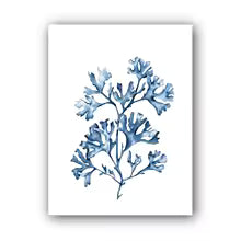 Coastal Blue Coral Watercolor Canvas Painting Poster for Home Decor
