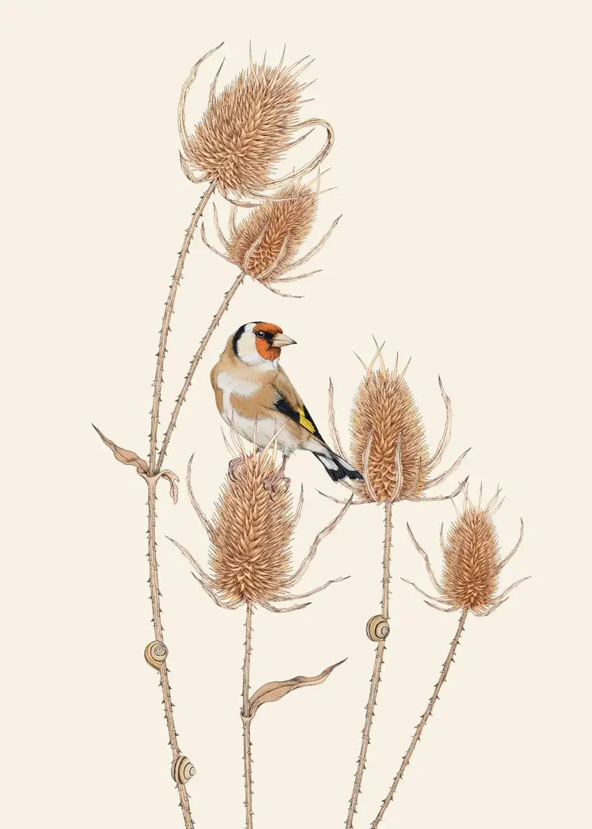 Retro Animal Garden Birds Canvas Painting Poster for Home Decor