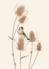 Retro Animal Garden Birds Canvas Painting Poster for Home Decor