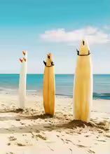 Nordic Summer Beach Surfing Canvas Painting Poster for Home Decor