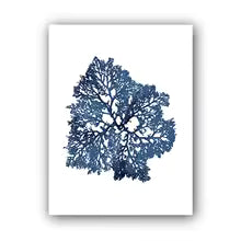 Coastal Blue Coral Watercolor Canvas Painting Poster for Home Decor