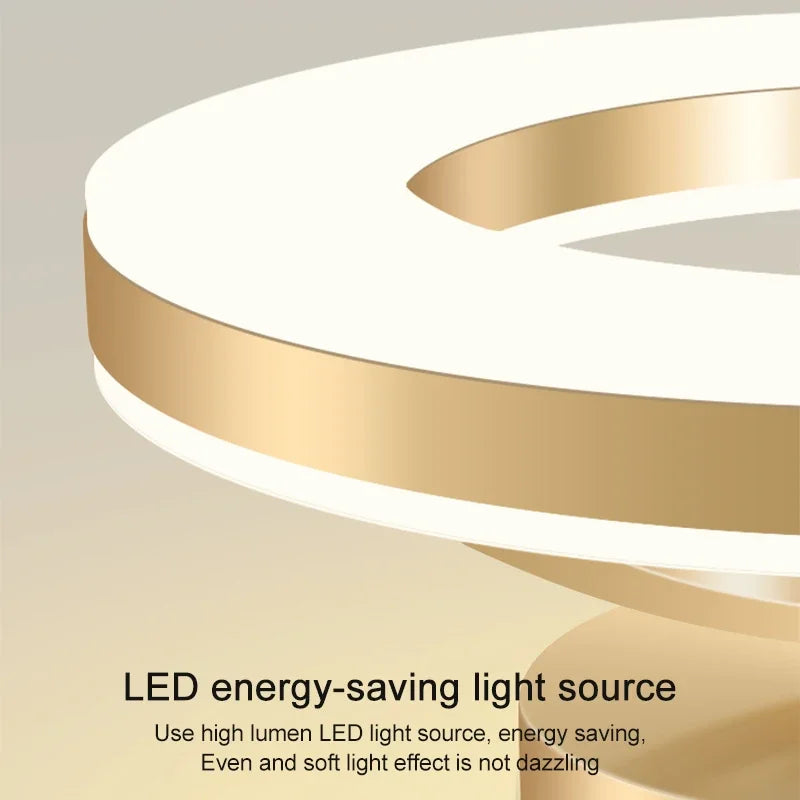 Modern LED Ceiling Light Indoor Lighting Home Decoration Bedroom Dining Table Living Room Balcony Corridor