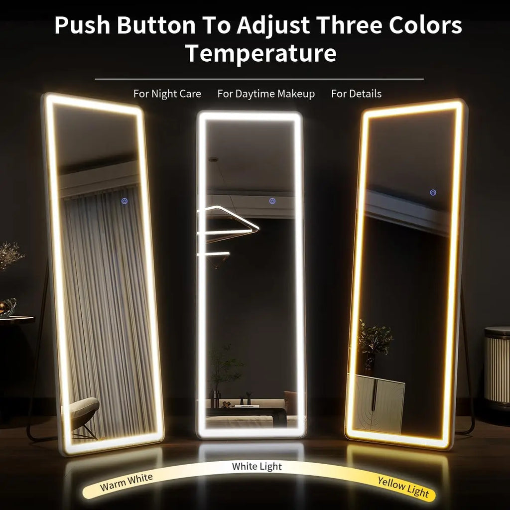 Modern Minimalist LED Standing Full Body Floor Mirror for Living Room