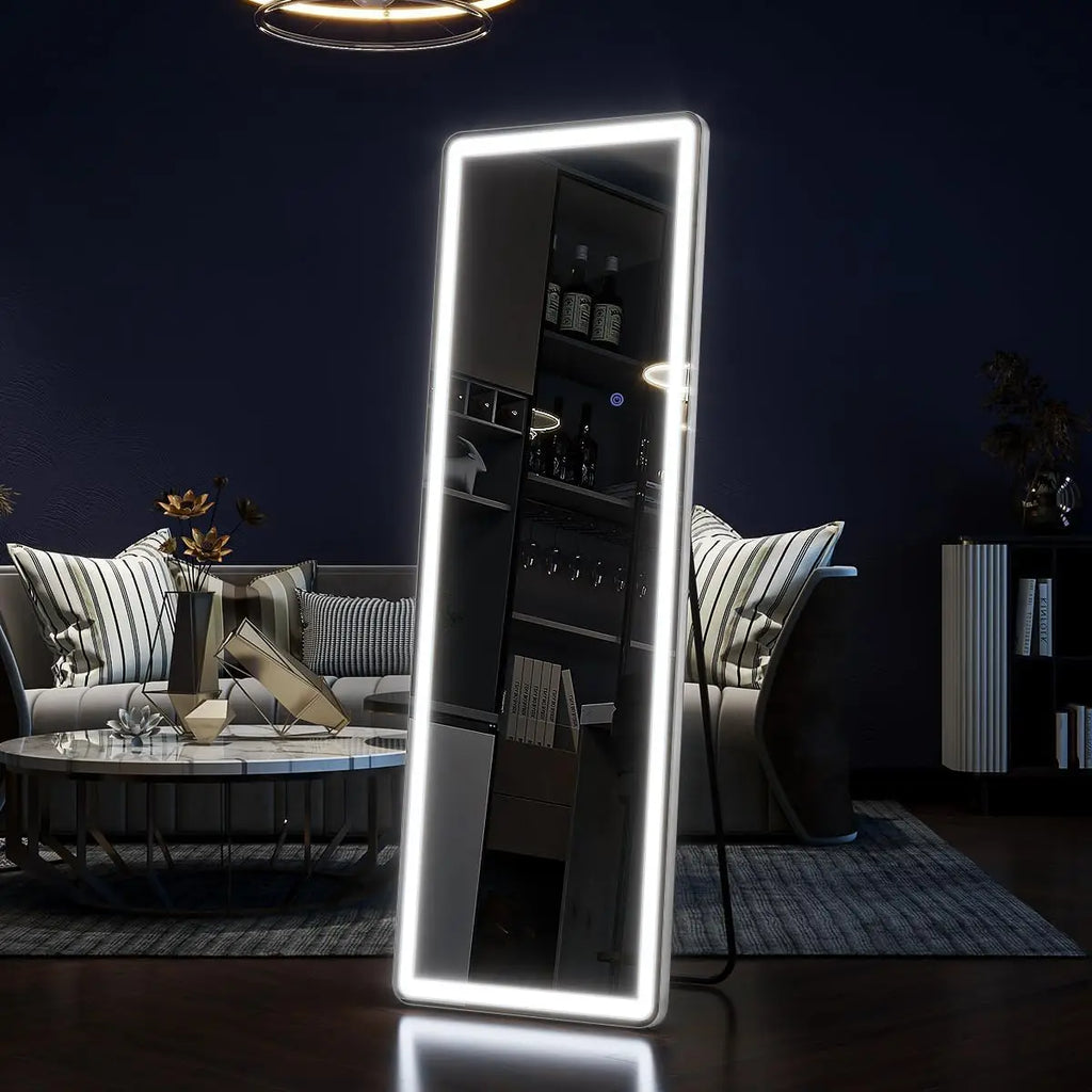 Modern Minimalist LED Standing Full Body Floor Mirror for Living Room