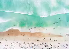 Nordic Summer Beach Surfing Canvas Painting Poster for Home Decor