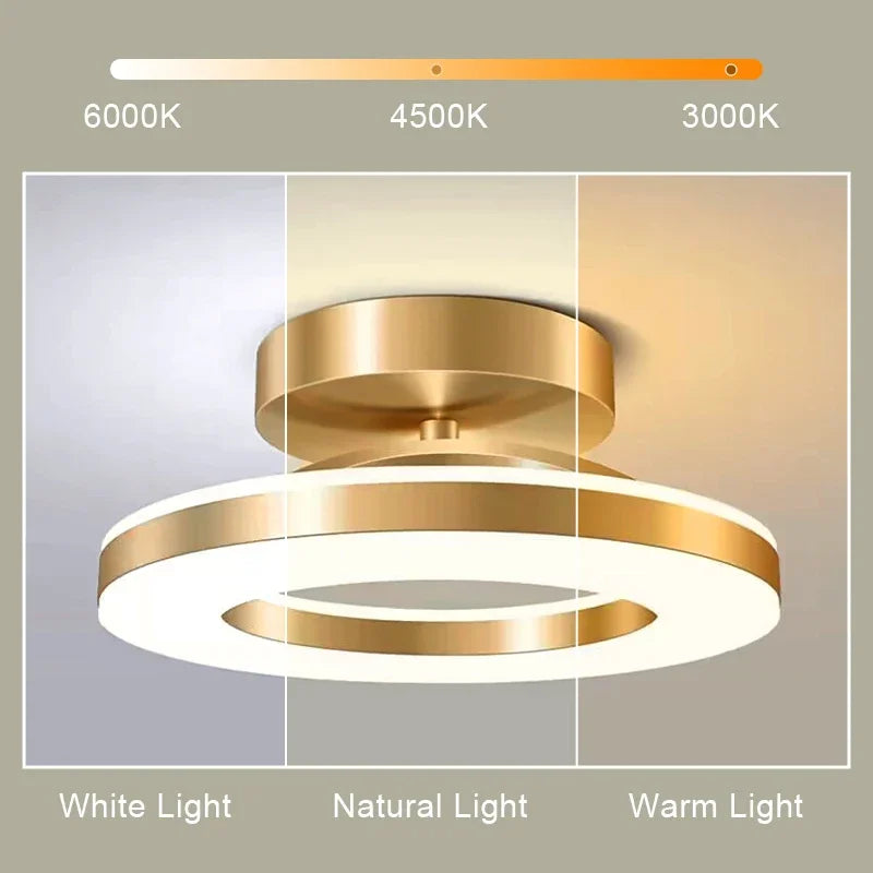 Modern LED Ceiling Light Indoor Lighting Home Decoration Bedroom Dining Table Living Room Balcony Corridor