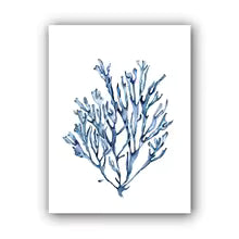 Coastal Blue Coral Watercolor Canvas Painting Poster for Home Decor