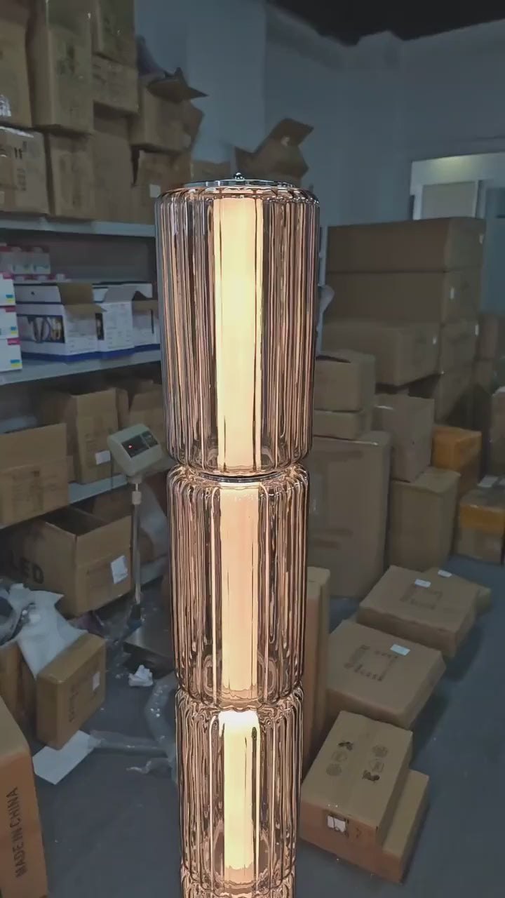 Modern Floor Lamp with Adjustable Height and Lighting for Living Room Bedroom
