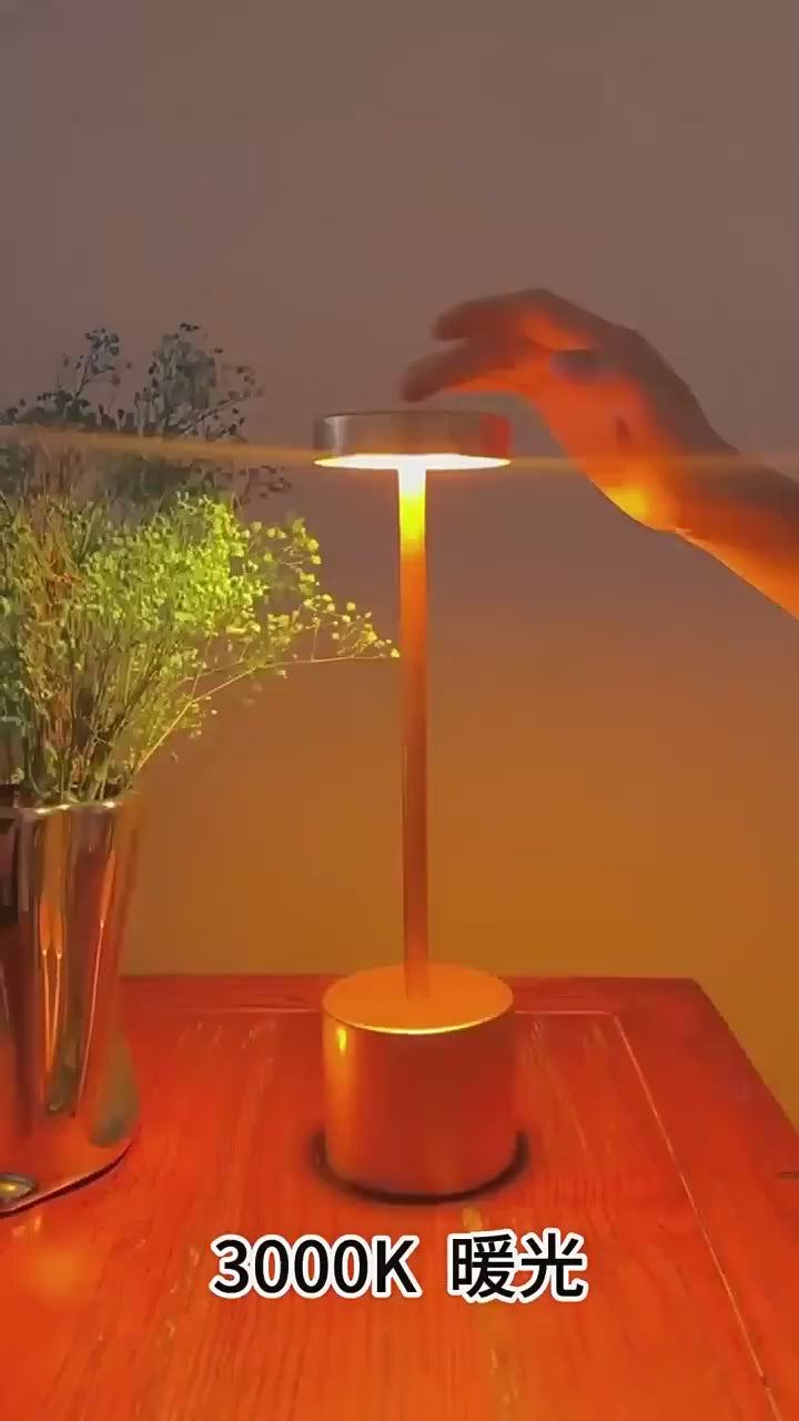 LED Metal Desk Lamp USB Rechargeable Touch Sensor Table Lamp